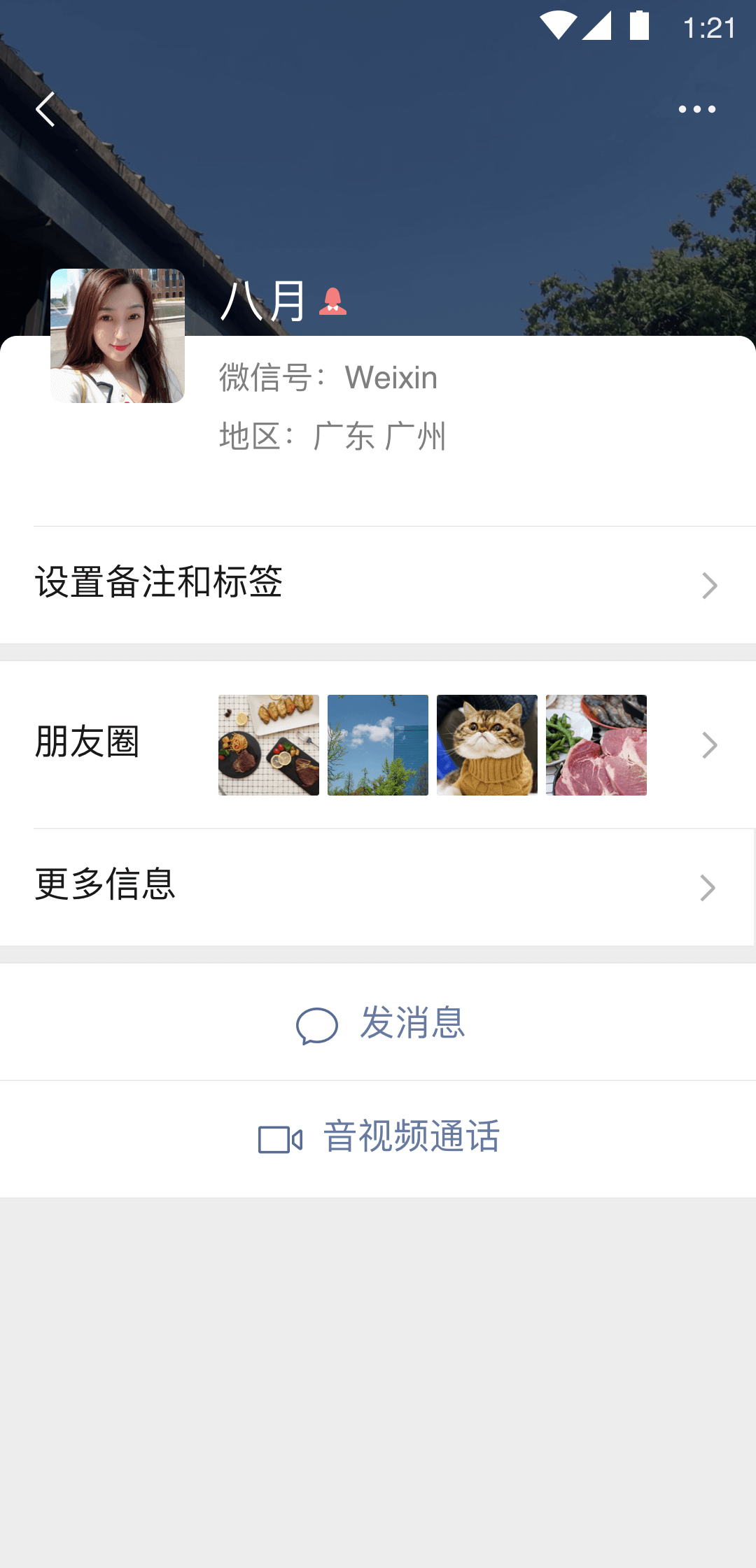 狗贩子一般怎么处理狗的幼崽截图